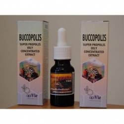 Comprar online BUCCOPOLI 15 ml de APIPHY-APIVIE. Imagen 1