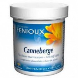 Comprar online ARANDANO ROJO (CANNEBERGE) 240 mg 200 Caps de FENIOUX. Imagen 1