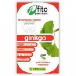 Comprar online FITOPREMIUM GINKGO 30 Caps de PINISAN. Imagen 1