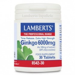 Comprar online GINKGO BILOBA 6000 mg 180 Caps de LAMBERTS. Imagen 1