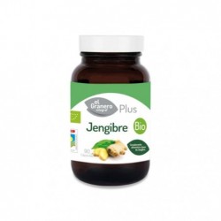 Comprar online JENGIBRE BIO 500 mg 90 Caps de GRANERO SUPLEMENTOS. Imagen 1
