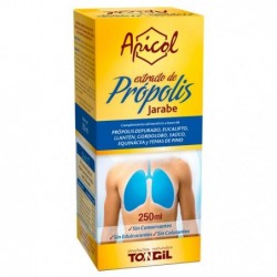 Comprar online APICOL JARABE EXTRACTO PROPOLIS 250 ml de TONGIL. Imagen 1