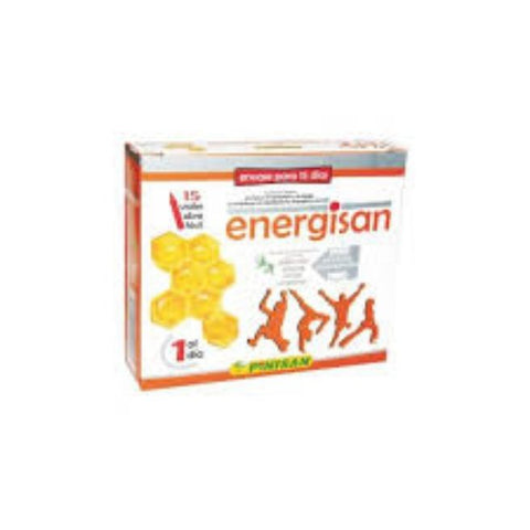 Comprar online ENERGISAN DIVER INFANTIL 15 Viales de PINISAN. Imagen 1