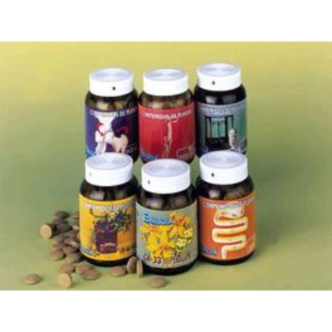 Comprar online GINSENG PANAX 100 Comp de BELLSOLA. Imagen 1