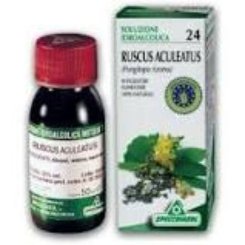 Comprar online 24- RUSCO(RUSCUS ACULEATUS) 50 ml BIOLOGICA de SPECCHIASOL. Imagen 1