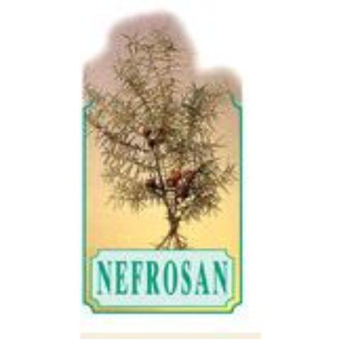 Comprar online ARN-4 NEFROSAN 250 ml de BELLSOLA. Imagen 1