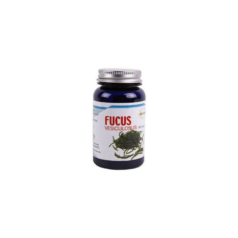 Comprar online BIDIET COMPRIMIDOS FUCUS 90 uds 500 mg. 012 de BIDIET. Imagen 1