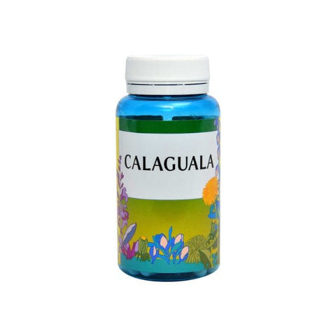 Comprar online CALAGUALA 90 Comp de NATURLIFE. Imagen 1