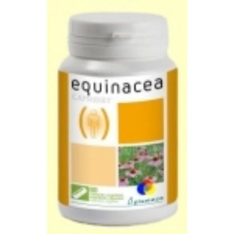 Comprar online CAPSUDIET EQUINACEA 80 Caps de PLAMECA. Imagen 1