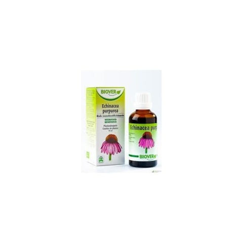 Comprar online EQUINACEA PURPUREA 50 ml de BIOVER. Imagen 1