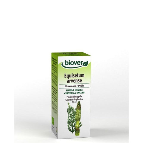Comprar online EQUISETUM ARVENSE 50 ml de BIOVER. Imagen 1