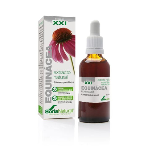 Comprar online EXTRACTO EQUINACEA S. XXI 50 ml de SORIA. Imagen 1