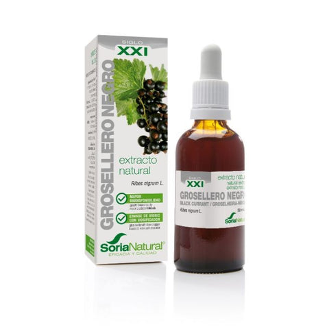 Comprar online EXTRACTO GROSELLERO NEGRO S XXI 50 ml de SORIA. Imagen 1