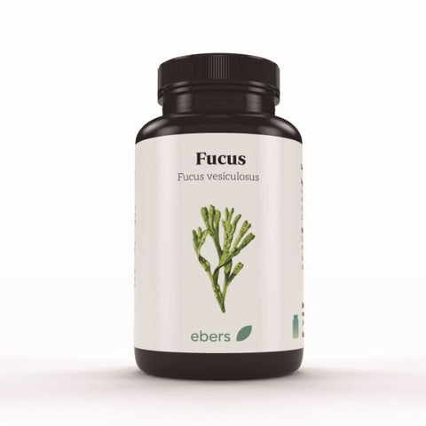 Comprar online FUCUS 500 mg 100 Comp de EBERS. Imagen 1