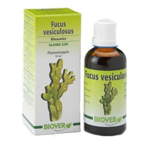 Comprar online FUCUS VESICULOSUS 50 ml de BIOVER. Imagen 1