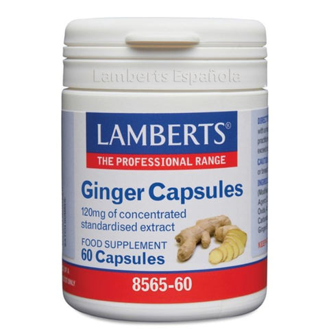 Comprar online GINGER EXTRACTO JENGIBRE 60 Caps de LAMBERTS. Imagen 1