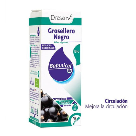 Comprar online GLICERINADO GROSELLERO NEGRO 50 ml BOTANICAL BIO de DRASANVI. Imagen 1
