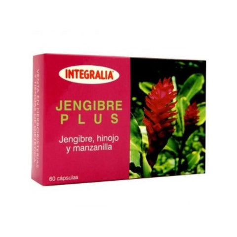 Comprar online JENGIBRE PLUS 60 Caps de INTEGRALIA. Imagen 1