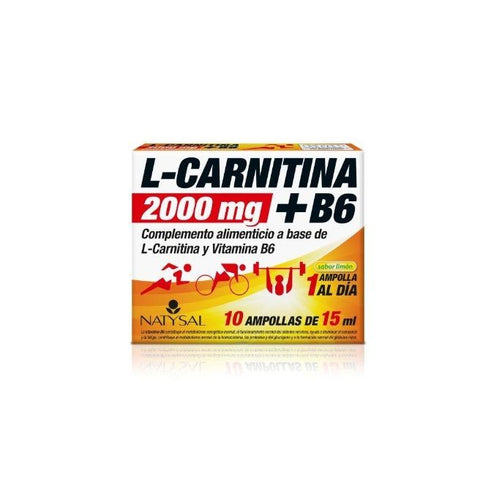 Comprar online L- CARNITINA 2000 MG + B6 10 AMPOLLAS de NATYSAL. Imagen 1