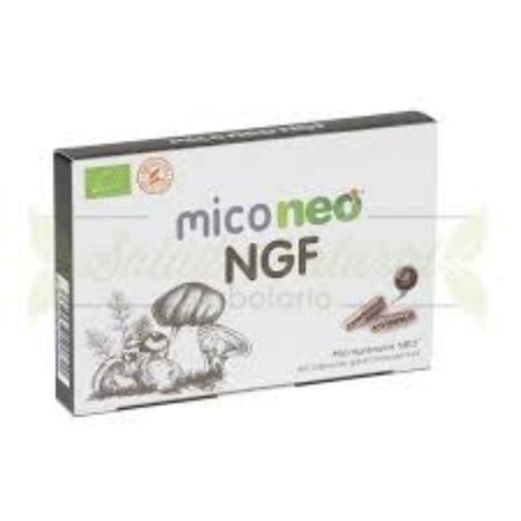 Comprar online MICO NEO NGF 60 CAPSULAS de MICONEO. Imagen 1