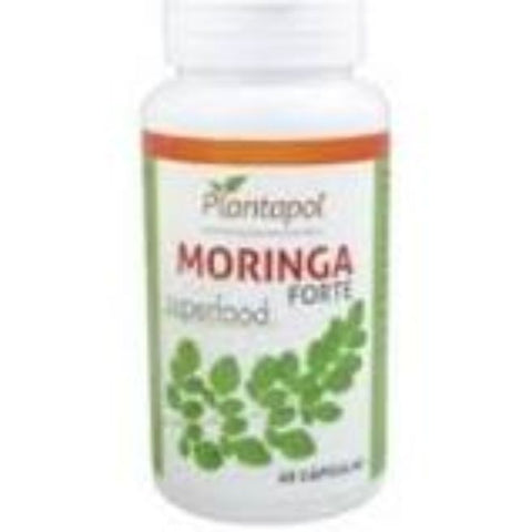 Comprar online MORINGA FORTE 60 CAPS de PLANTA POL. Imagen 1