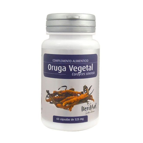 Comprar online ORUGA VEGETAL 60 Caps de HERDIBEL. Imagen 1