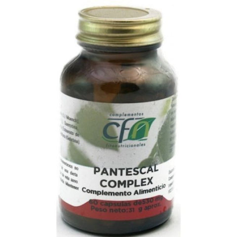 Comprar online PANTESCAL COMPLEX 60 Caps de CFN. Imagen 1