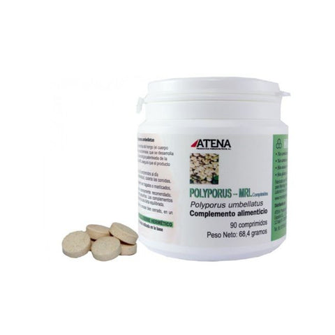Comprar online POLYPORUS MRL 500 mg 90 Comp de ATENA. Imagen 1