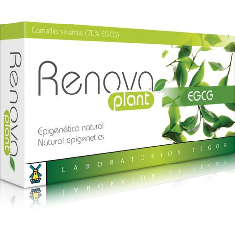 Comprar online RENOVAPLANT EGCG 40 CAPSULAS de TEGOR. Imagen 1