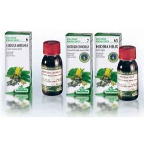 Comprar online TINTURA 06 CARDUUS MARIANUS 50 ml de SPECCHIASOL. Imagen 1