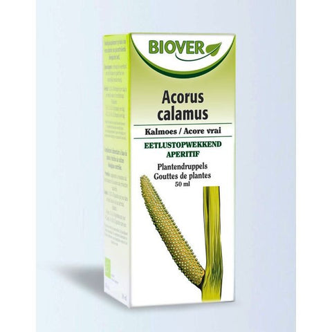Comprar online TINTURA MADRE CALAMO 50 ml de BIOVER. Imagen 1