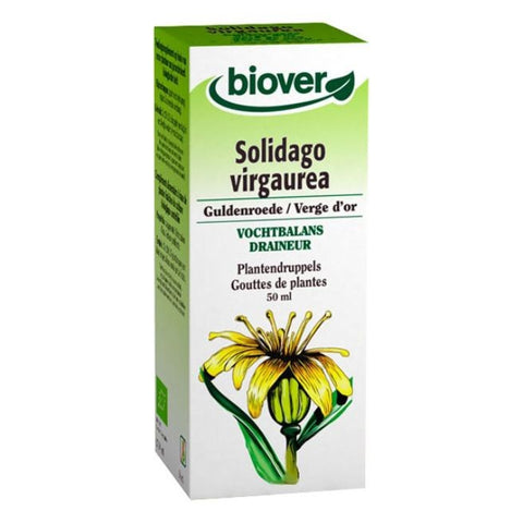 Comprar online VARA DE ORO SOLIDAGO VIRGAUREA 50 ml de BIOVER. Imagen 1