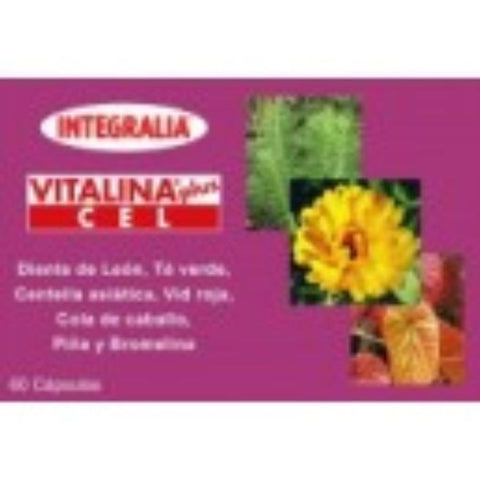 Comprar online VITALINA PLUS CEL 60 Caps de INTEGRALIA. Imagen 1