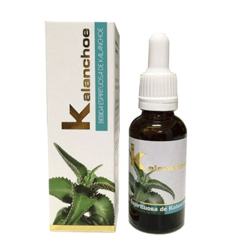 Comprar online KALANCHOE 30 ml de LUMEN. Imagen 1
