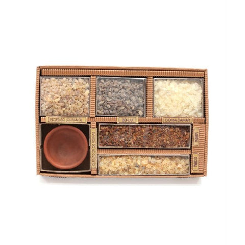 Comprar online MEMORIA ARBOLES 5 RESINAS GRANULO/UN CUENCO CERAMI de AUROSHIKHA. Imagen 1