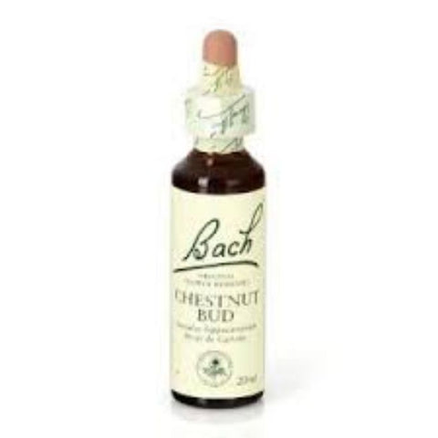 Comprar online BACH 07 CHESTNUT BUD 20 ml ( CASTAÑO BROTE) de BACH. Imagen 1