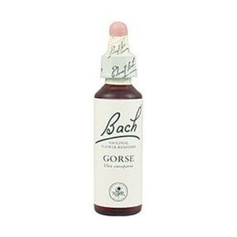 Comprar online BACH 13 GORSE 20 ml ( FLORES DE BACH AULAGA) de BACH. Imagen 1
