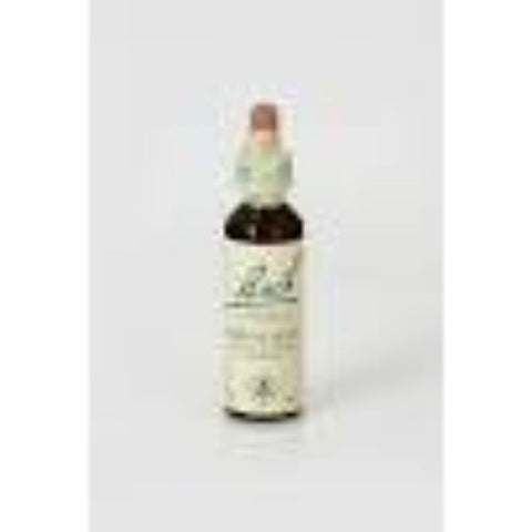 Comprar online BACH 18 IMPATIENS 20 ml ( IMPACIENCIA) de BACH. Imagen 1