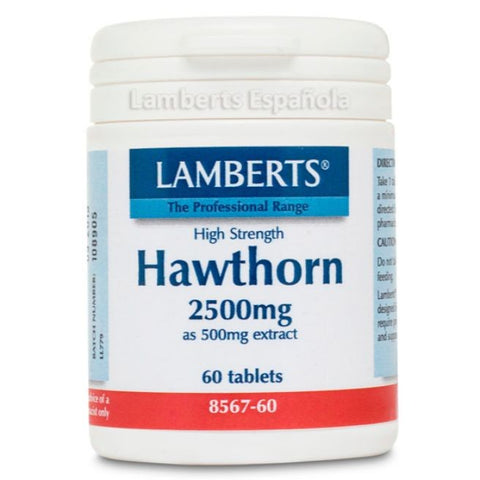 Comprar online ESPINO BLANCO 2500 mg 60 Tabs de LAMBERTS. Imagen 1