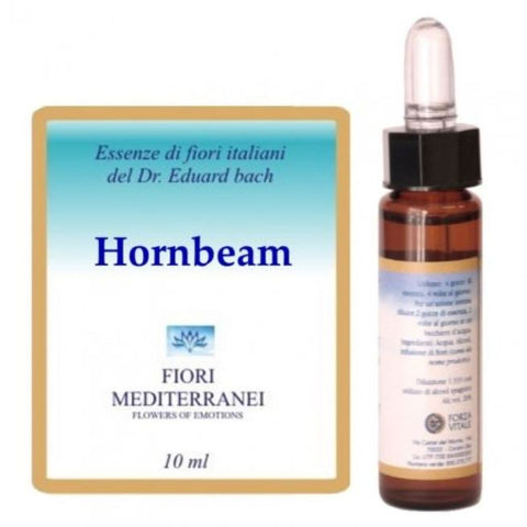 Comprar online FIORI MEDITERRANEI HORNBEAM 10 ml de FORZA VITALE. Imagen 1