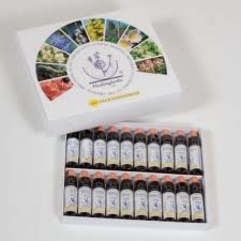 Comprar online FIORI MEDITERRANEI WALNUT 10 ml de FORZA VITALE. Imagen 1