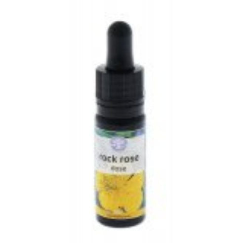 Comprar online FIORI MEDITERRANEI WILD OAT 10 ml de FORZA VITALE. Imagen 1