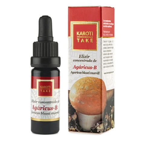 Comprar online KAROTI TAKE AGARICUS B de HIRANYAGARBA. Imagen 1