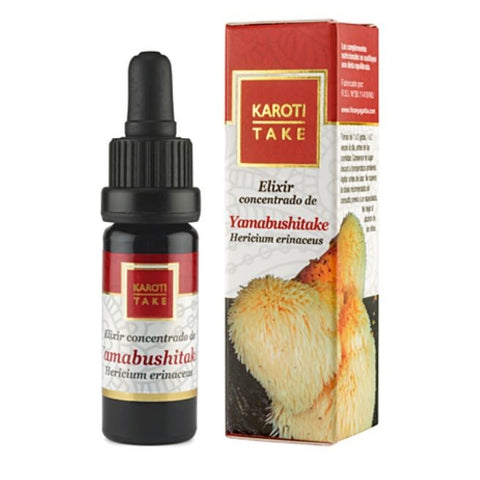 Comprar online KAROTI TAKE ELIXIR YAMABUSITAKE 10 ml de HIRANYAGARBA. Imagen 1