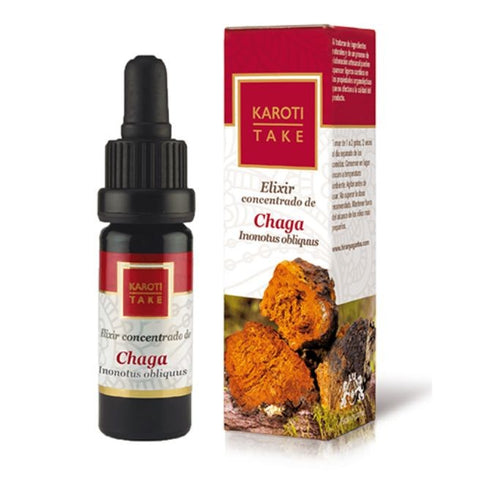 Comprar online KAROTI-TAKE CHAGA 10 ml de HIRANYAGARBA. Imagen 1