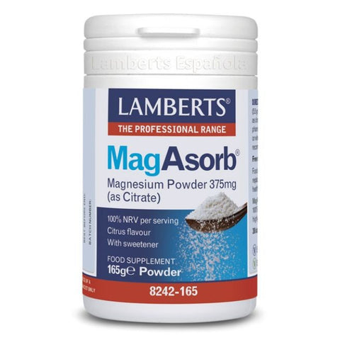 Comprar online MAGASORB 375MG POLVO 165gr de LAMBERTS. Imagen 1