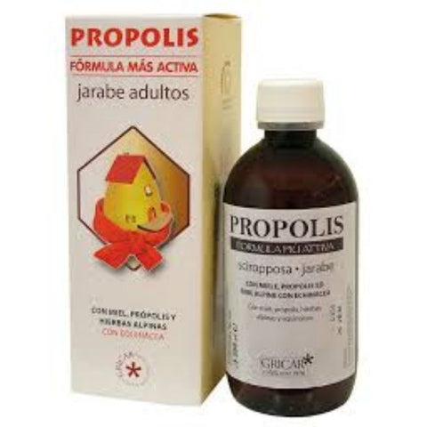 Comprar online PROP JARABE EQUINACEA AD 200ml de HERBOFARM. Imagen 1