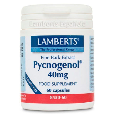 Comprar online PYCNOGENOL 40 mg 60 Tabs de LAMBERTS. Imagen 1
