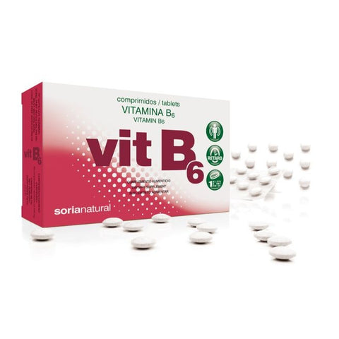 Comprar online VITAMINA B6 200 mgrs. x 48 RETARD de SORIA. Imagen 1
