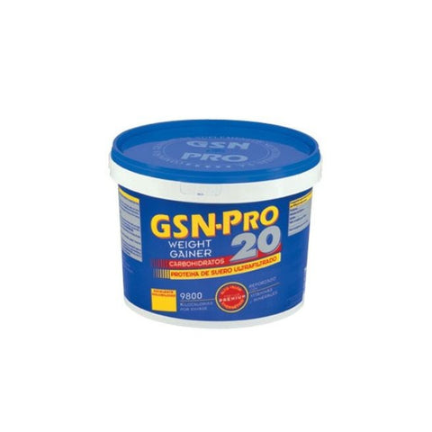 Comprar online GSN PRO 20 CHOCOLATE 2,5 kg de GSN. Imagen 1